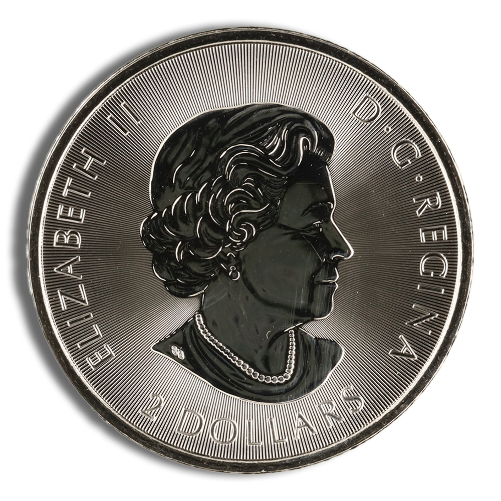 2019 1/2 oz Canadian Polar Bear Silver Coin