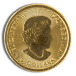 1/10 oz Canadian Polar Bear Gold Coin (Year Varies)