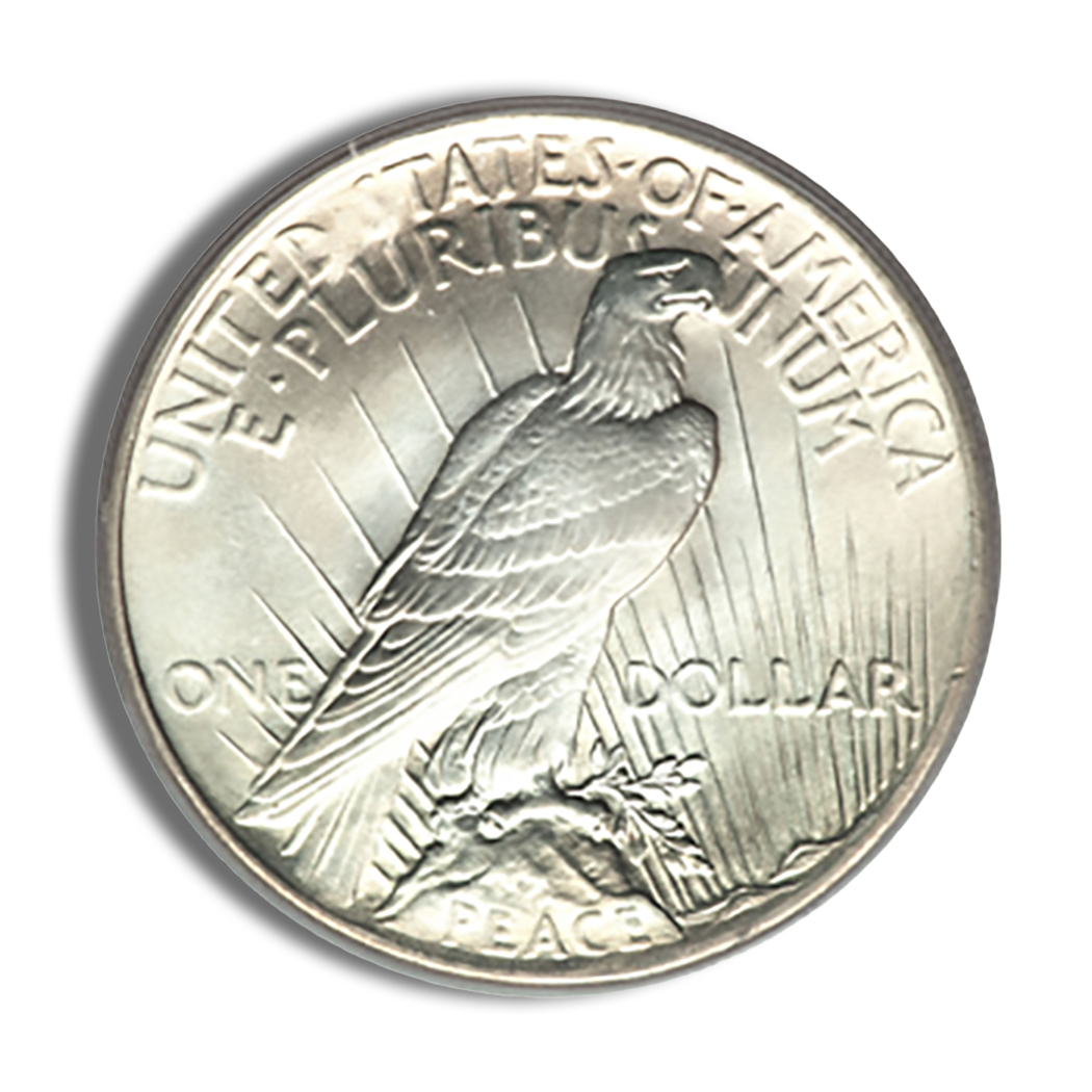 Peace Silver Dollar - Slider