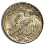 Peace Dollar – PCGS MS65 (Toned)