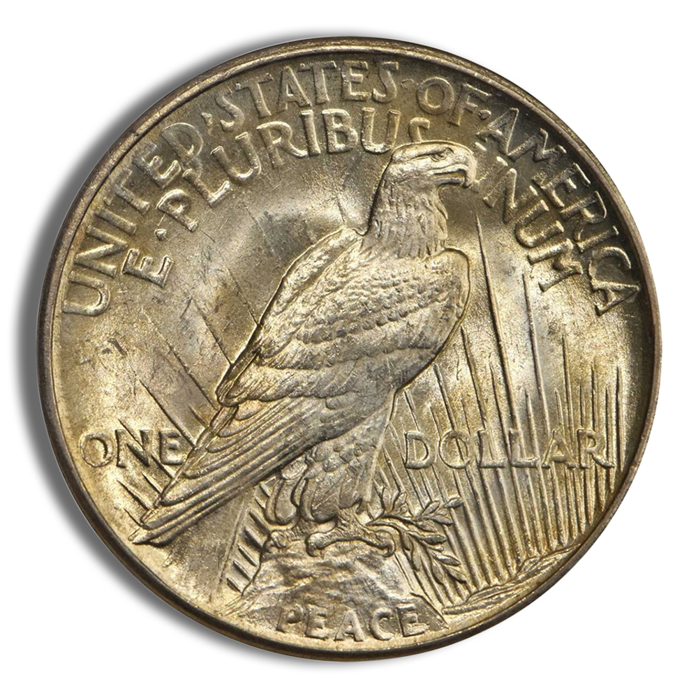 Peace Dollar - PCGS MS65 (Toned)