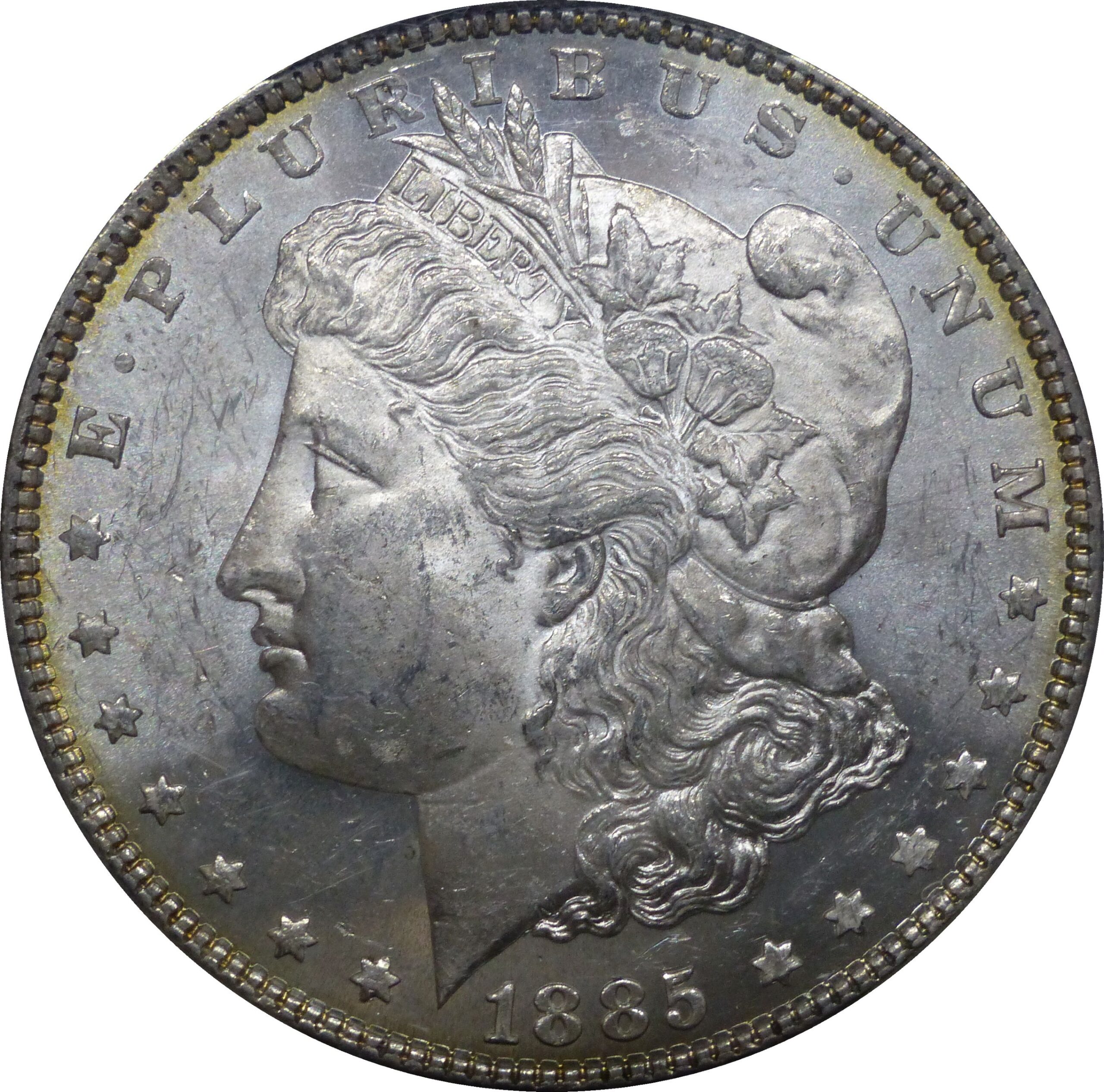 Morgan dollar obverse showing Liberty