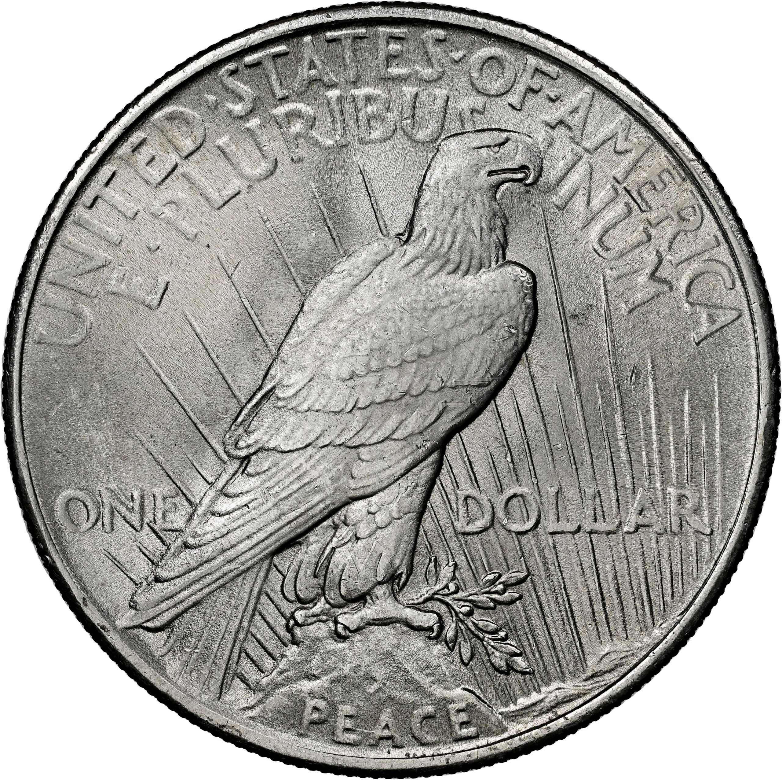 Peace dollar reverse showing an eagle and the word PEACE