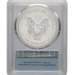 2016-W Burnished Silver Eagle PCGS SP70 FS