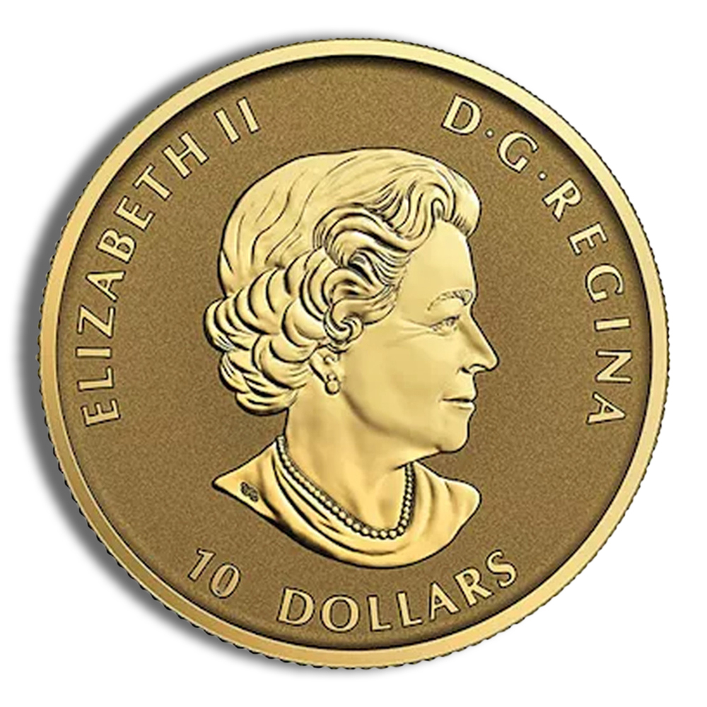 2019 1/4 oz Canadian Wild Horse Gold Coin